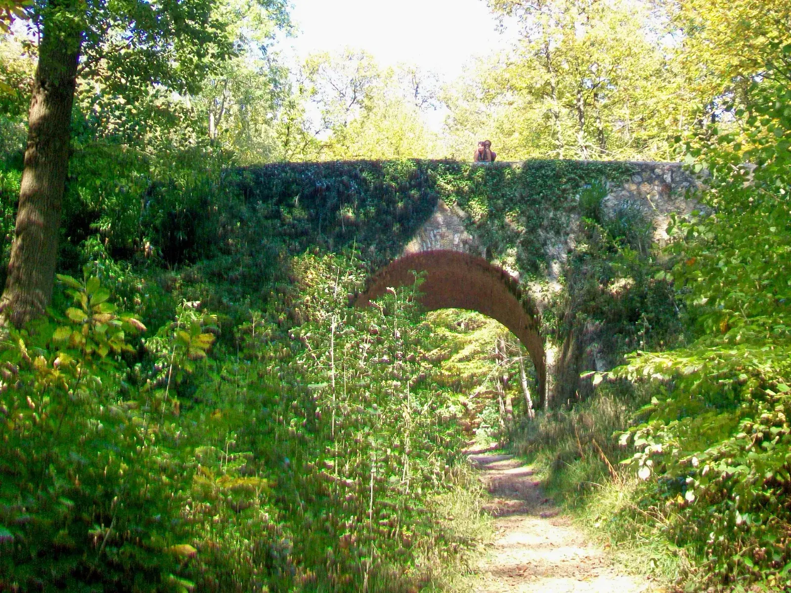 Nettoyage de façade Taverny — forêt de Montmorency et ancienne base aérienne